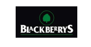 blackberry blackberry